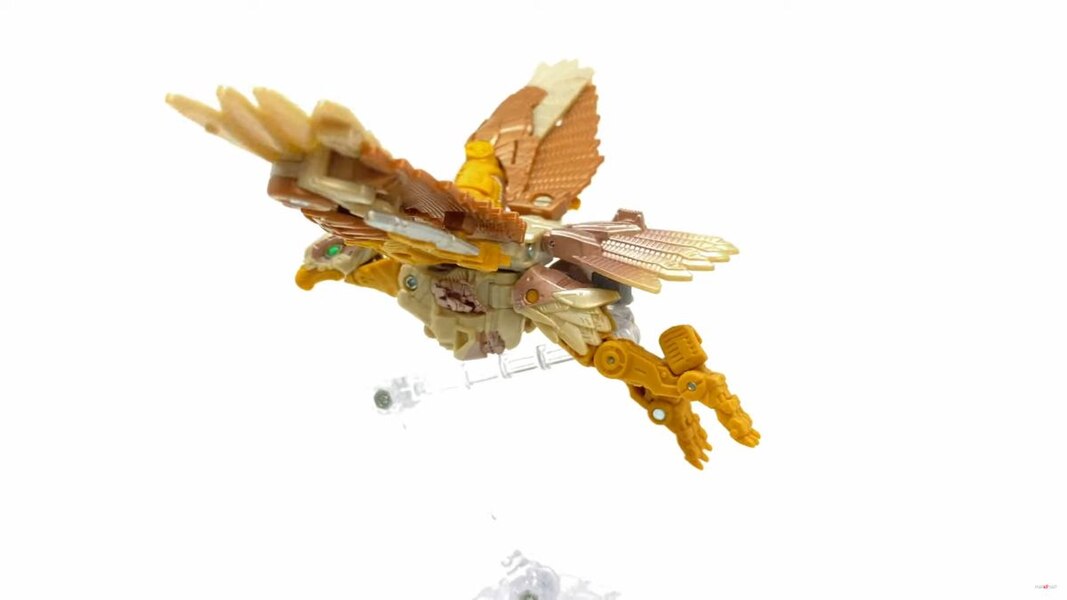 Image Of Rise Of The Beasts Studio Series Airazor Toy  (28 of 55)